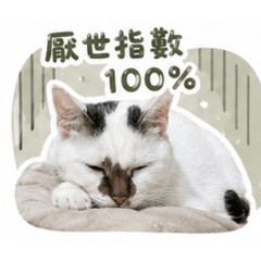 厭世貓咪～哈里2