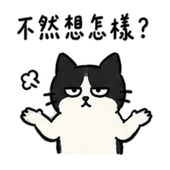 白目貓男友