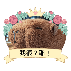 耳背巴拉 ---肥滋滋