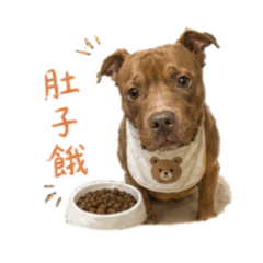 有點盜版的椒