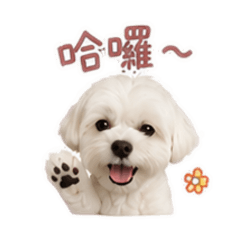 BuBu來嘍❤️