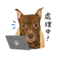 椒工作