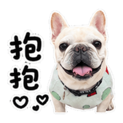 豆豆愛的抱抱