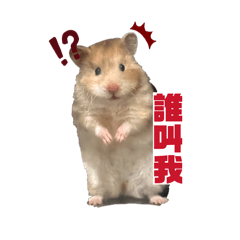 鼠勾以餒^_−☆