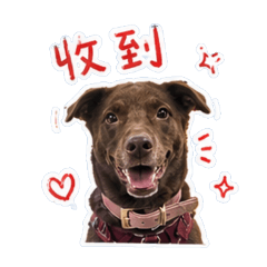 可可系列1
