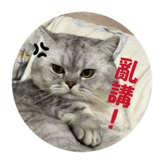 林國財ㄉ小咪咪日常 第二彈