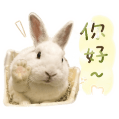 嘟嘟之日常貼圖