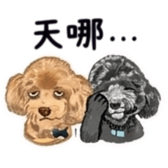 屁屁和尤里