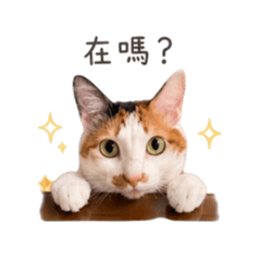 哈莉小公主1