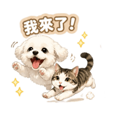 呼嚕呼嚕小夥伴