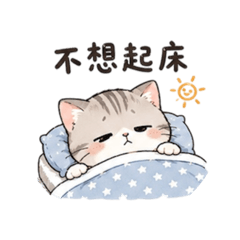斑斑喵Q版用語