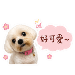 QQ小寶貝٩(๑❛ᴗ❛๑)۶