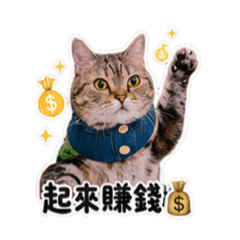 4個屁孩的日常又加一隻餅乾