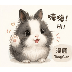 湯圓侏儒獅子兔的日常_A