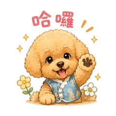 香檳貴賓狗日用文字
