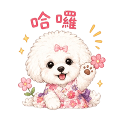 白貴賓狗日常文字