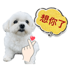 瑪雅小小一起來