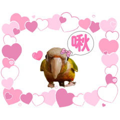 小太陽碰碰