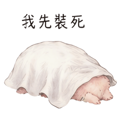 碎碎念 ❶