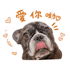 黑色狗狗二熊1.0