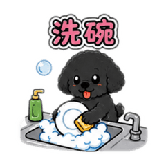黑貴賓做家事