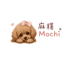 李麻糬日常用語