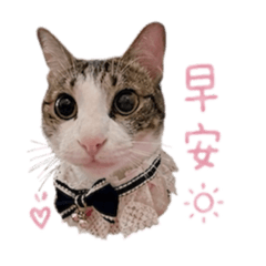 咪咪呀呀