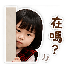 胖淇可愛日常
