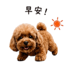 更可愛的狗肥