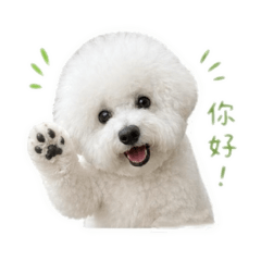 黃雪寶