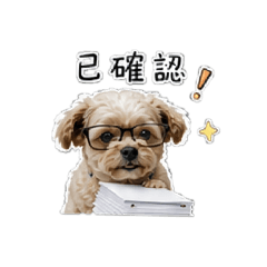 我家mei仔的職場生活