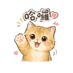 kai 的小貓咪