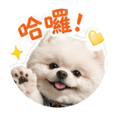 我是一隻可愛的小皮蛋