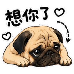 小貝日常語
