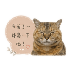 我們這一家咪醬