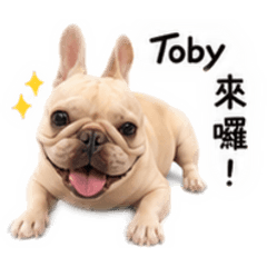 Toby—托比