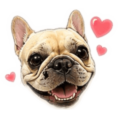 錢錢10