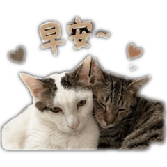 Lu&糰