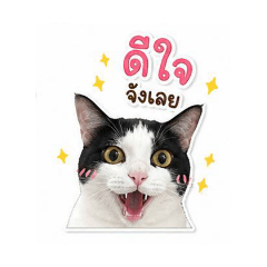 Sojumeaw_20260501175119