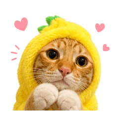 MingMhanThaCats