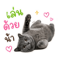 Bell_20260501175420