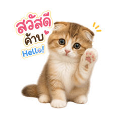 Kitto Diary 1