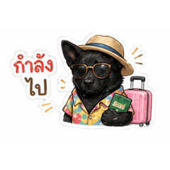 nina_20260501175500