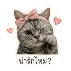 Bell_20260501180137