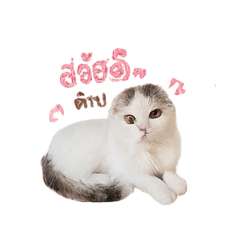 celine_20260501180612