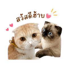 NongRenji & Hedhom