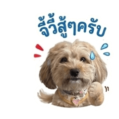 My name jiwee