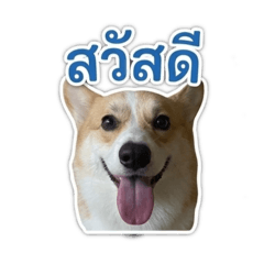Micky Lucky home
