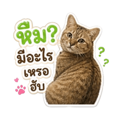 Seethong Fat
