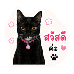 Wayu cute v.1